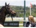  Carrera: G.P.Nacional Caballo: Roncal Monta: V.Janacek